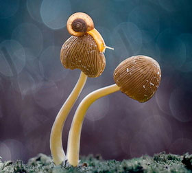 免费ddos压力测试平台